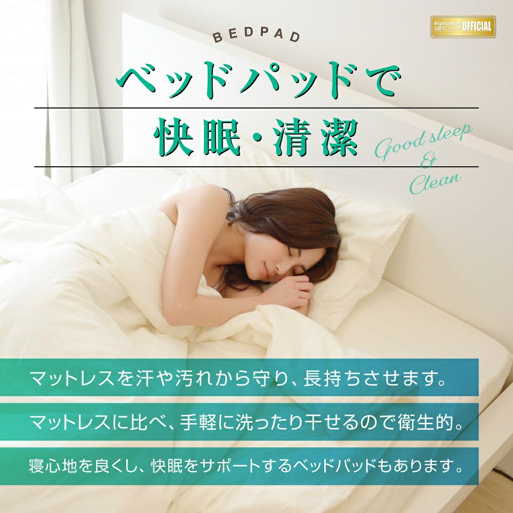 FranceBedExcellent マットレスフレームベッドパッド付1台送料込 フランスベッド 脚付きマットレスベッド 【公式通販】