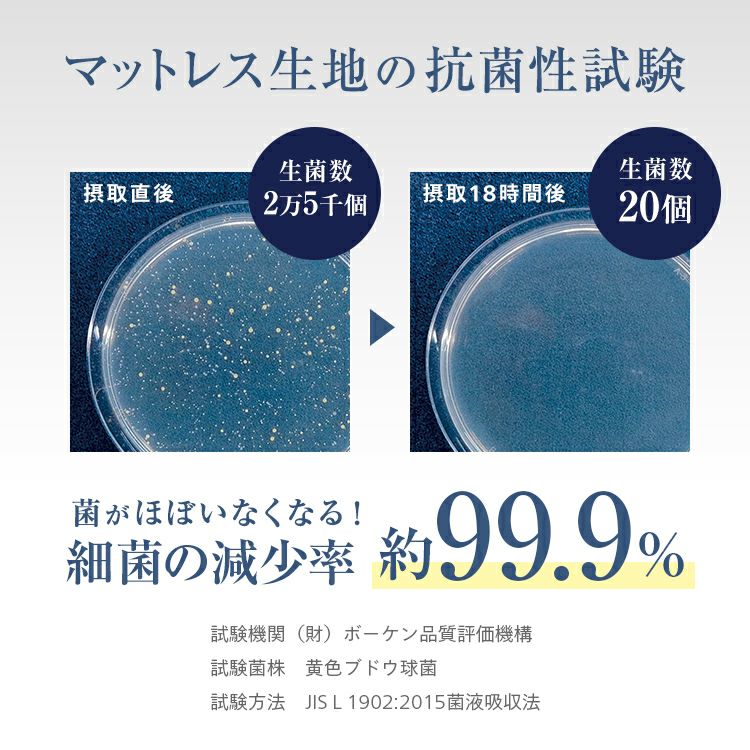 【自社配送エリア限定販売】FRANCEBED/LT-5000ミディアムソフトS フランスベッド LT-5000α ミディアムソフト シングル (マットレス