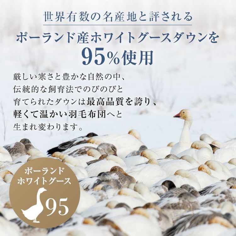 正規品 西川 羽毛布団 シングル NP7053 | 西川製 nishikawapremium