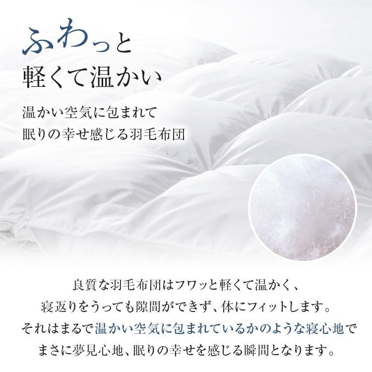 フランスベッド 羽毛布団 CS-01 ダック AS オールシーズン タイプ