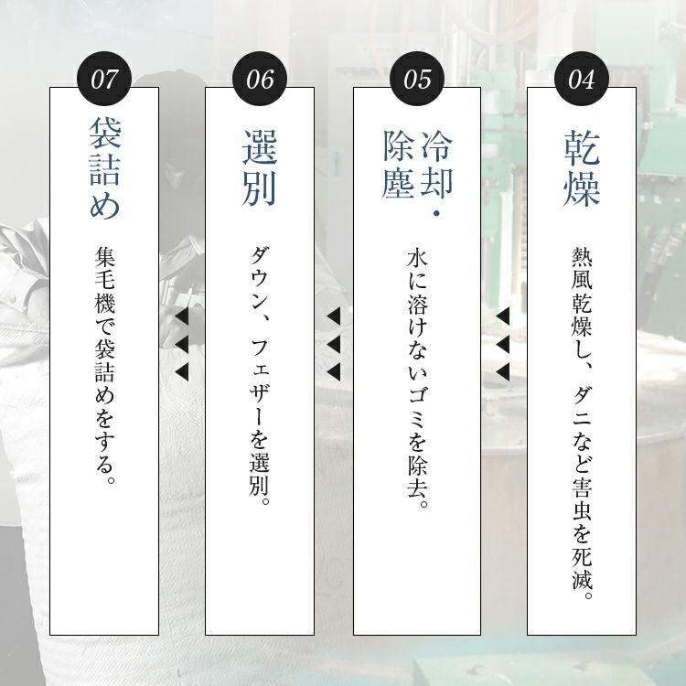 フランスベッド 羽毛布団 CS-01 ダック AS オールシーズン タイプ
