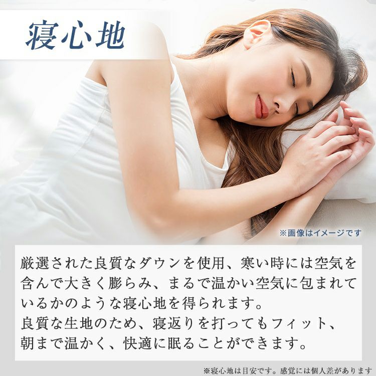 フランスベッド 羽毛布団 AS-DLQ-90 | 正規品 羽毛ふとん ポーランド産