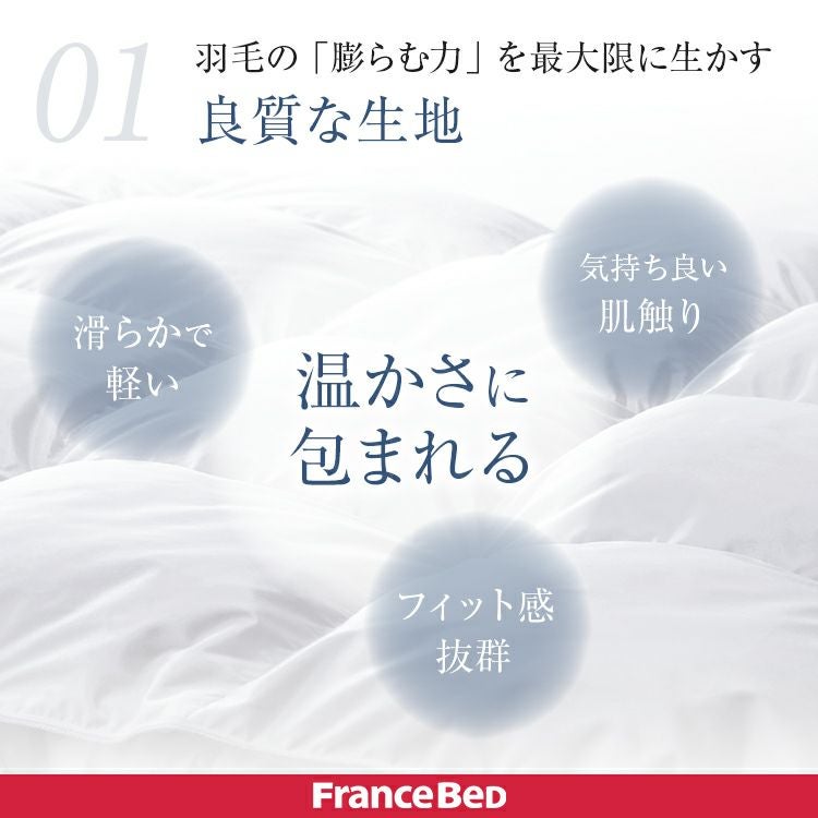 フランスベッド 羽毛布団 AS-DLQ-90 | 正規品 羽毛ふとん ポーランド産