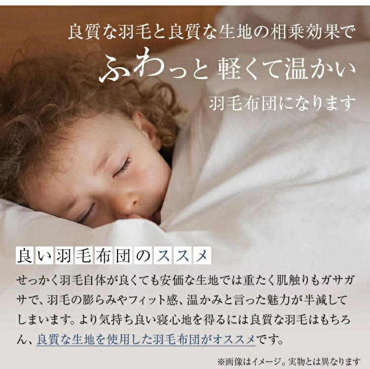 フランスベッド 羽毛布団 AS-DLQ-90 | 正規品 羽毛ふとん ポーランド産