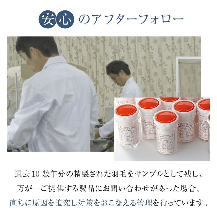 フランスベッド 羽毛布団 AS-DLQ-90 | 正規品 羽毛ふとん ポーランド産