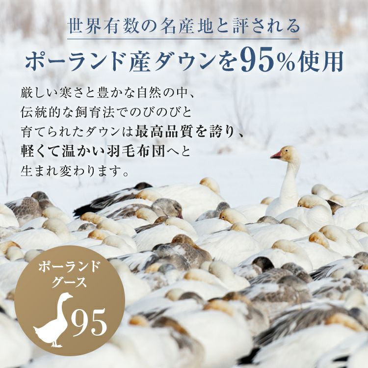フランスベッド 羽毛布団 CS-03 1枚タイプ | 正規品 羽毛ふとん グース