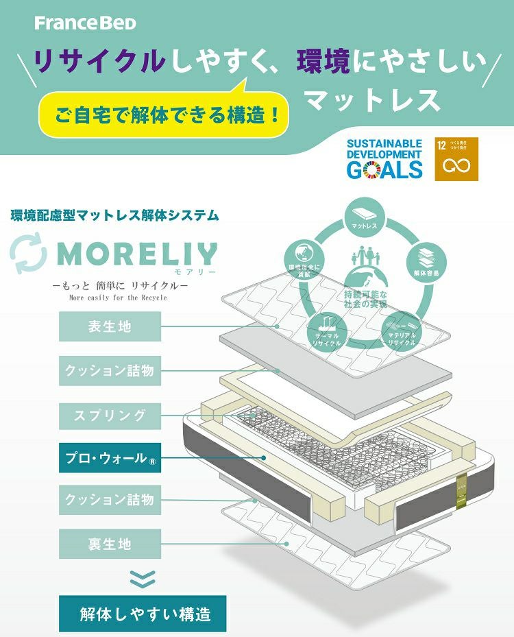 正規品 フランスベッド マットレス TW-106Ag PWα-MON | ベッド ベッド