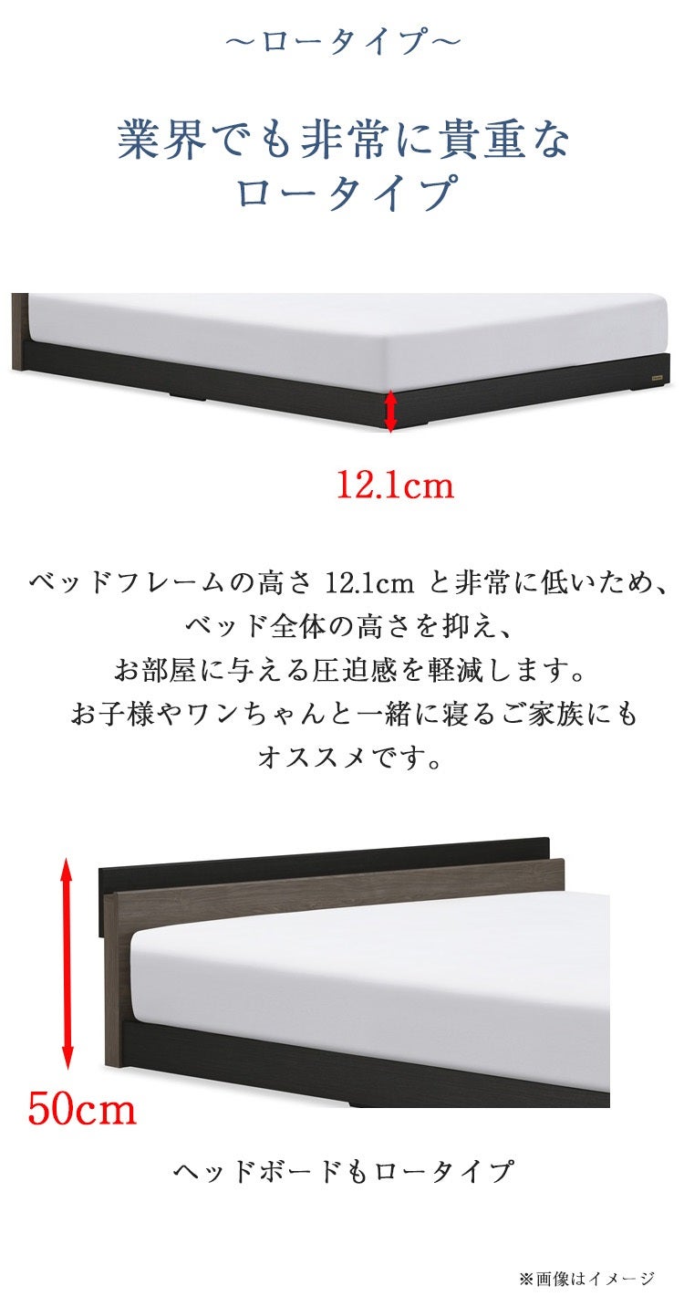 正規品 フランスベッド ベッドフレーム LC-001 | フランスベッド製