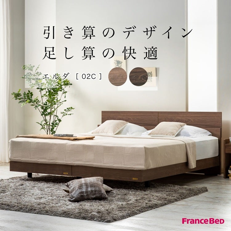 セット特価】正規品 フランスベッド ベッド エルダ02C ZI-200