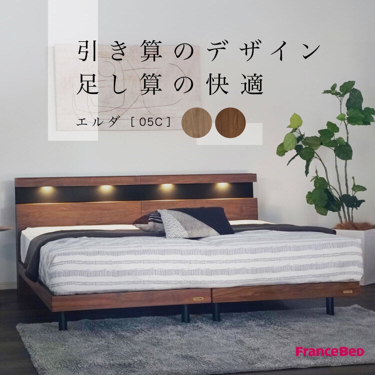 セット特価】正規品 フランスベッド ベッド エルダ05C 脚付き ZI-200
